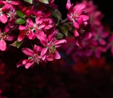 Shutterstock 1716825496 1