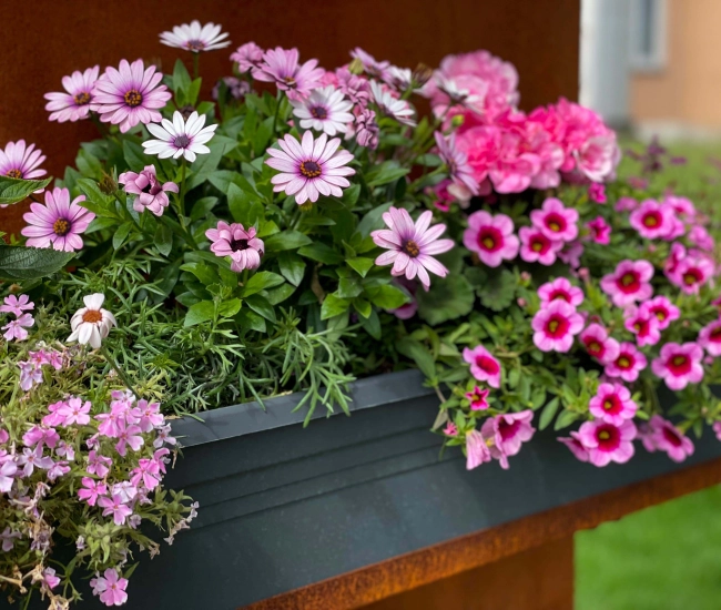 Jardiniere fleurie
