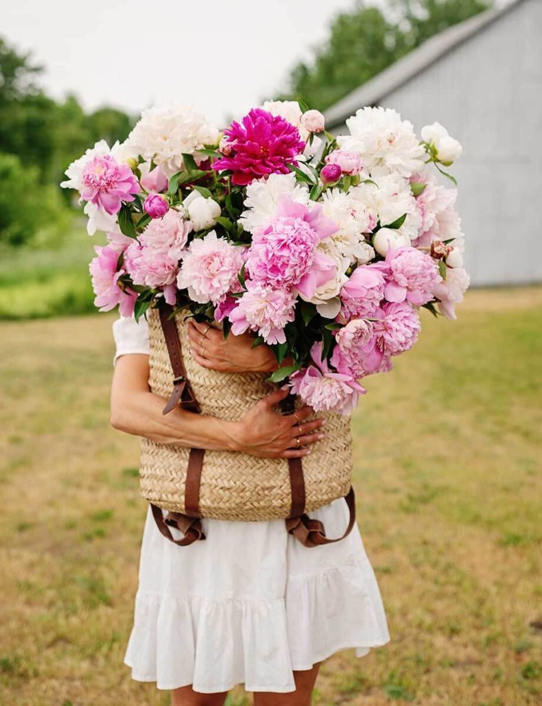 Pink peonies