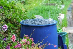 Good water management practice: collecting rainwater