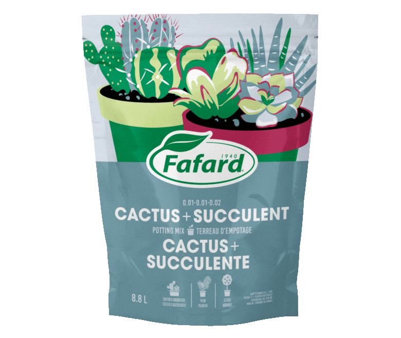 Cactus + Succulent Potting Soil Fafard