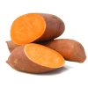 Shutterstock 1263482668 1