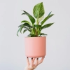 Feey ajg VAG2 Ky QQ unsplash