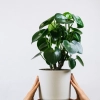Feey Gl1 Bx Fdb OBM unsplash