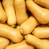 Shutterstock 1340735801
