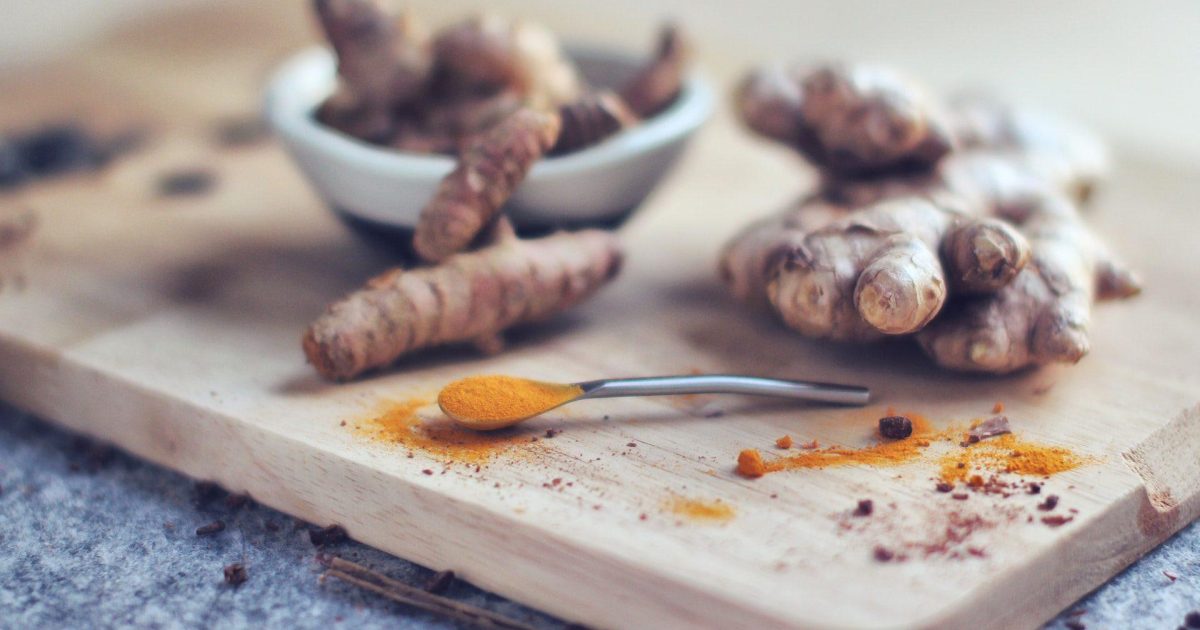 Du gingembre qubcois au potager, a se peut? - Passion Jardins