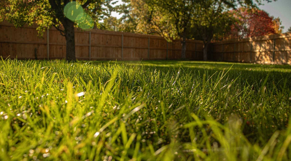 Prendre soin de son gazon au printemps