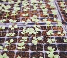 Chu tai xnoueh62e4e unsplash scaled