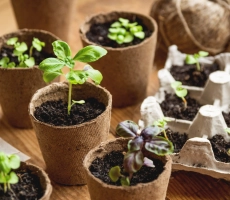 Shutterstock 1889599909 scaled