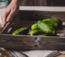 Concontre roi du potager