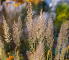 Shutterstock 2539874045 1