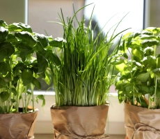 Shutterstock 2183546897 1