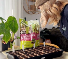 Faire ses semis plus simple quil ny parait