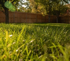Prendre soin de son gazon au printemps