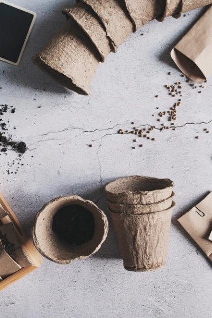 Shutterstock 2278936815 1