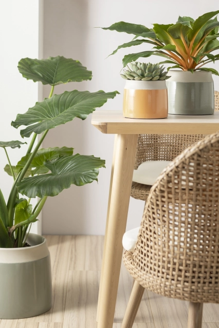 Cache pots en céramique