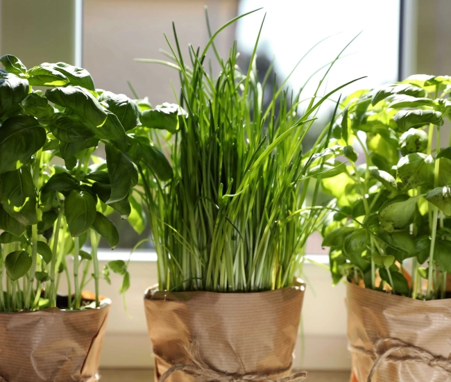 Shutterstock 2183546897 1