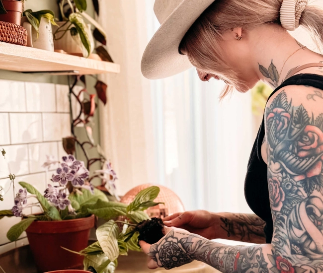 Le rempotage plus simple que tu pense