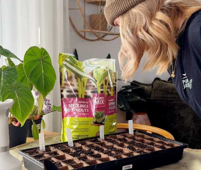 Faire ses semis plus simple quil ny parait