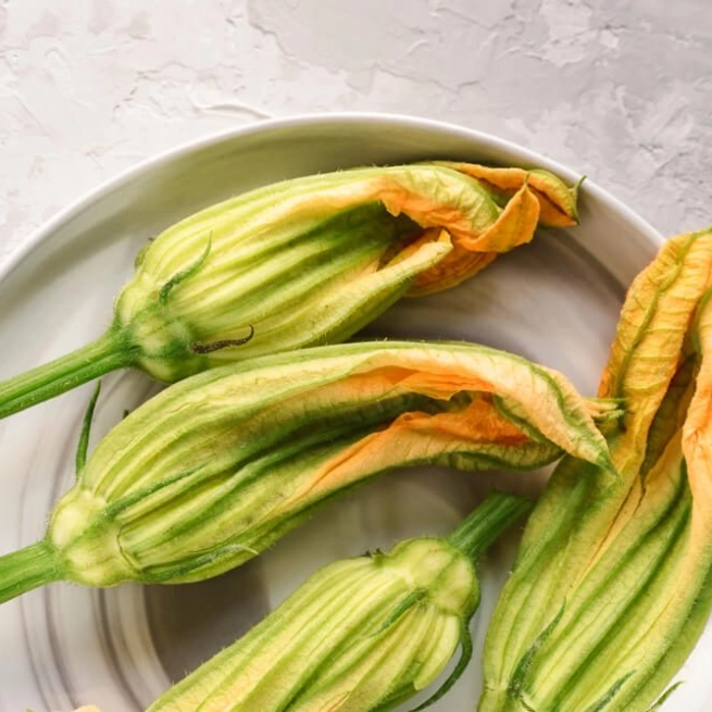 Fleurs de courgette