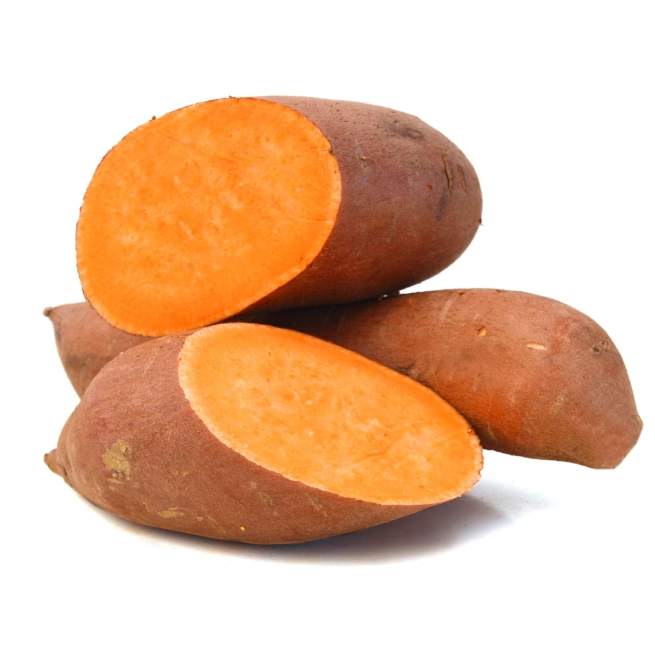 Shutterstock 1263482668 1