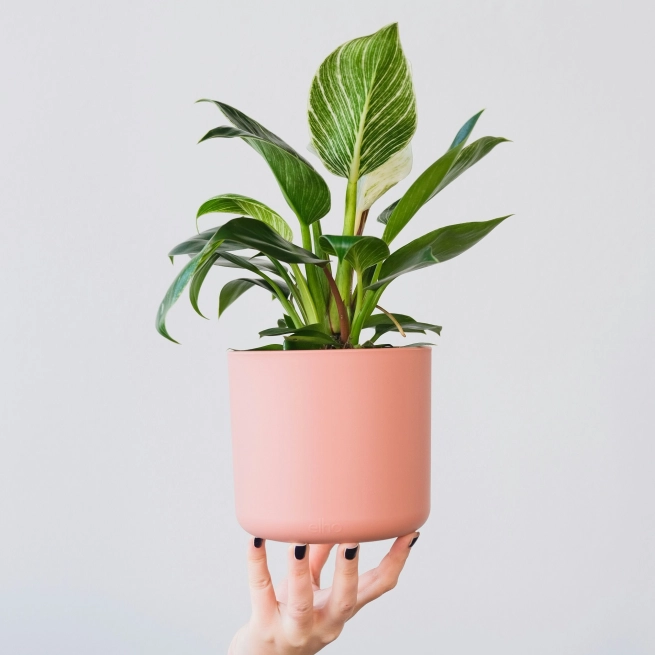 Feey ajg VAG2 Ky QQ unsplash