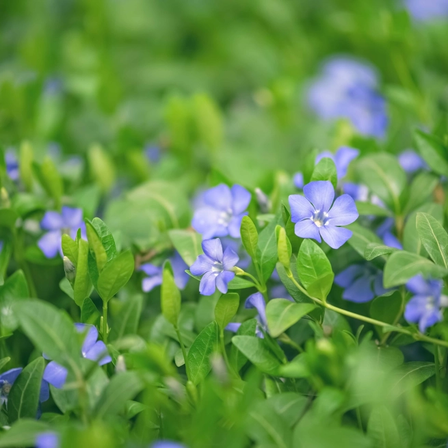 Shutterstock 2641798273 1