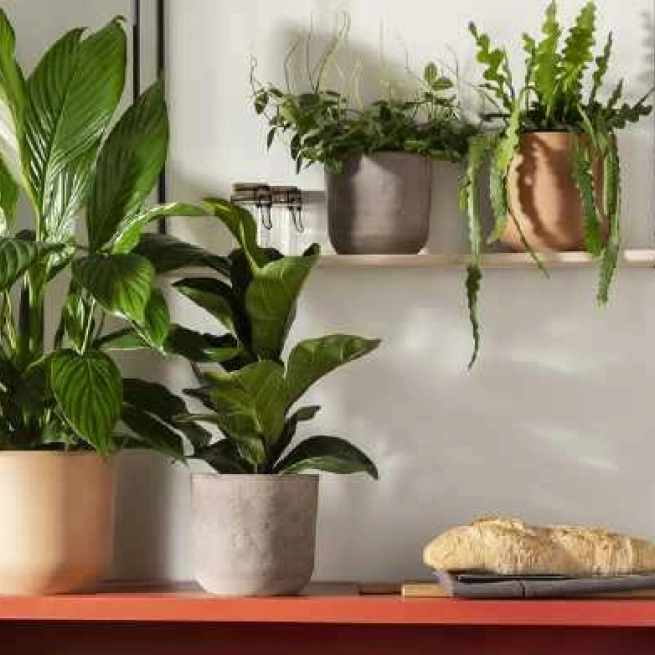 Groupex Circulaire 2026 compressé FOLIERA Page 17 Image 0003