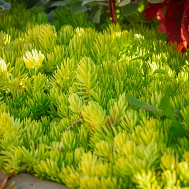 Couvre sols shutterstock 2367412601 1