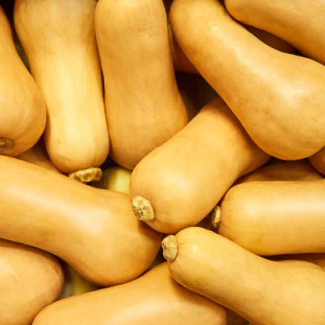 Shutterstock 1340735801