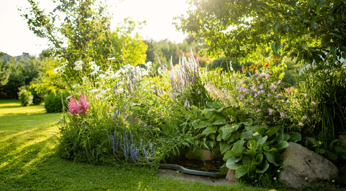 Shutterstock 2453622037 1