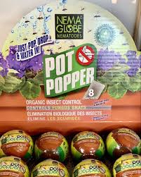 Nema Globe Pot Popper at