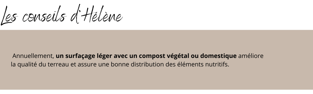 helen-baril-horticultrice-conseils