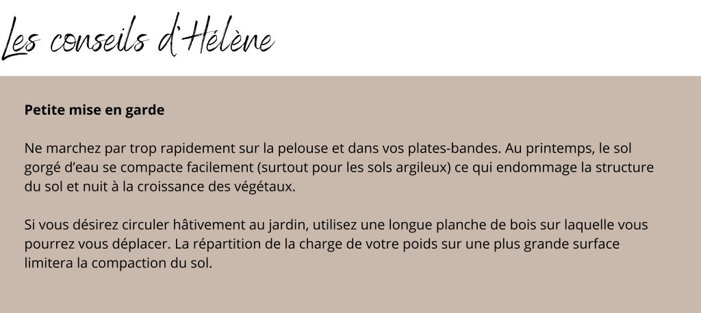 Le conseils d'Hélène Baril