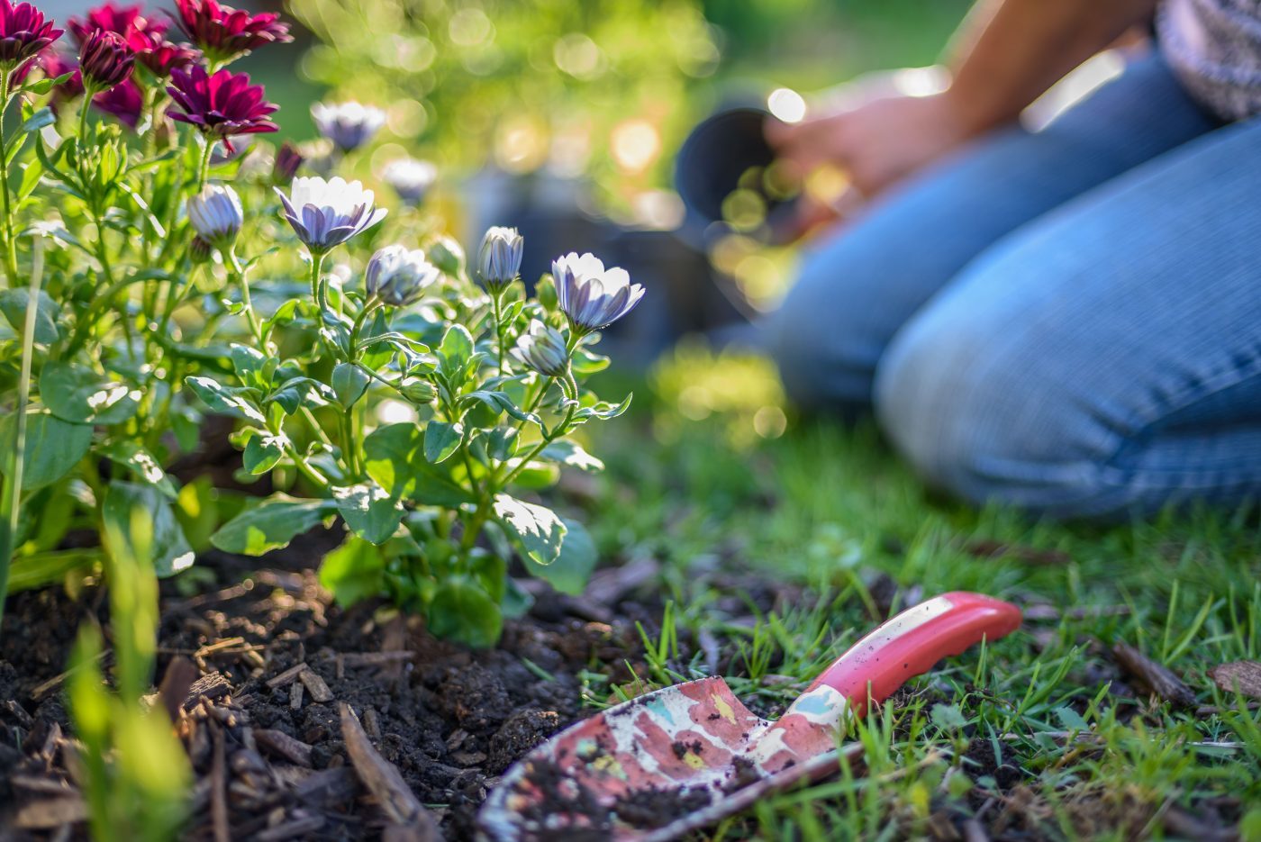 Le jardinage : une passion accessible à tous !